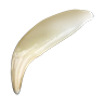 Tooth bear