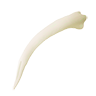 Tooth snake