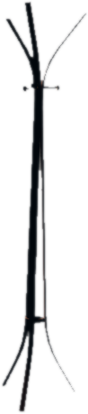 V ret hd hooks 