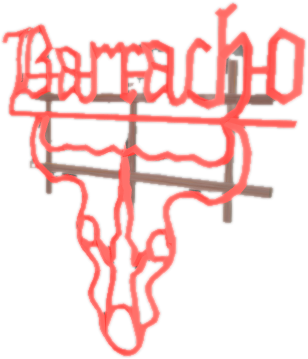 V ret neon baracho