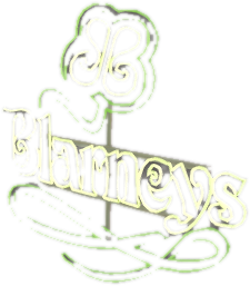 V ret neon blarneys