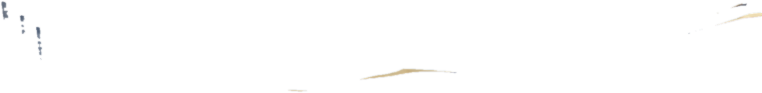 Vsci