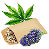 Weed seed1