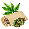 Weed seed2