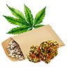 Weed seed4
