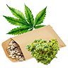 Weed seed5