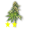 Weedbud 2