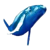 Whale2