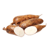 Yucca fruit